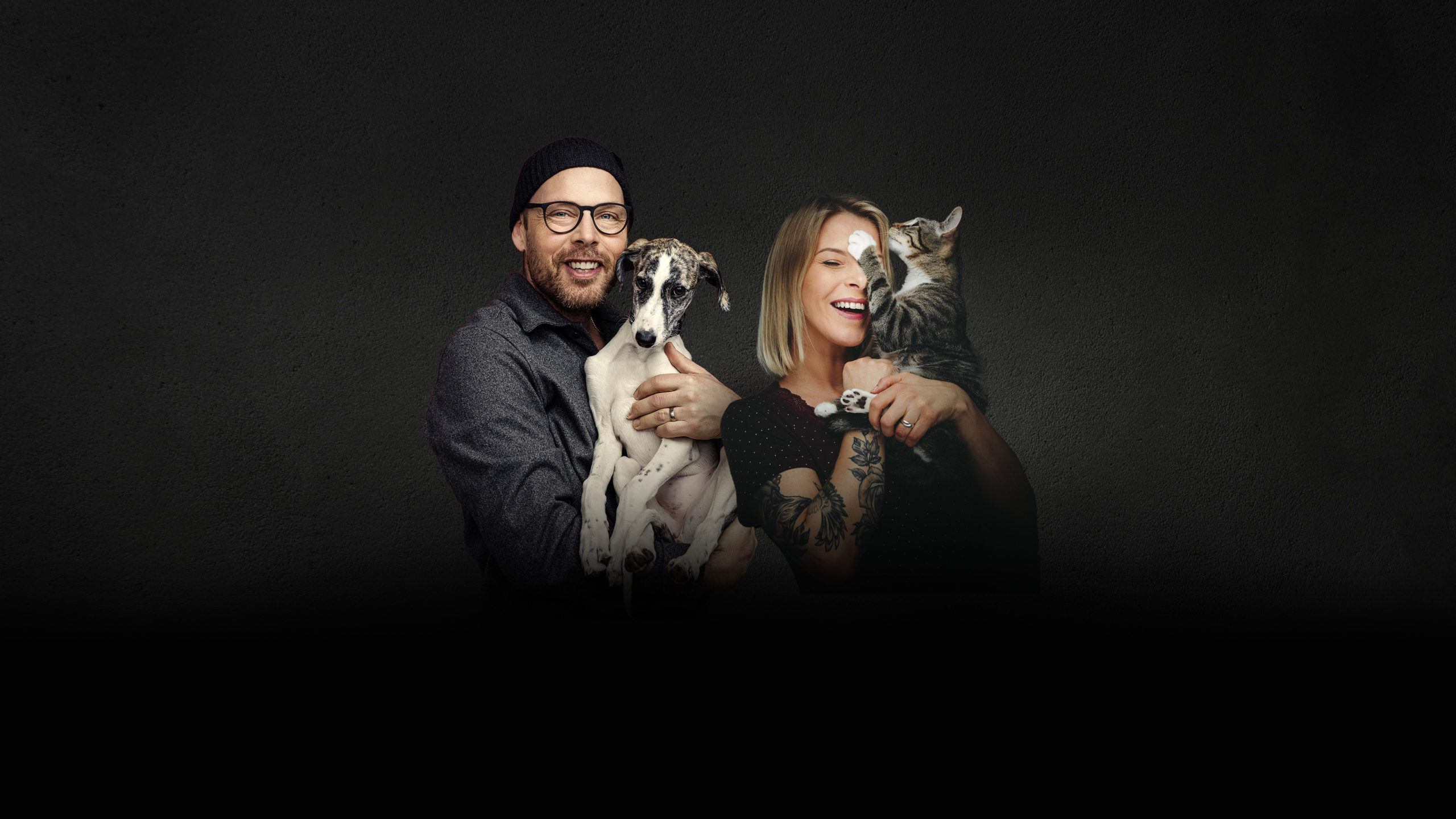 Pattes et Griffes - Franchise